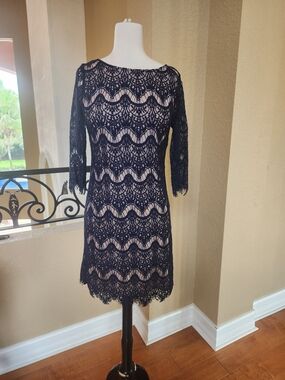 Black Lace Long-Sleeve Sheath Dress with Nude Lining